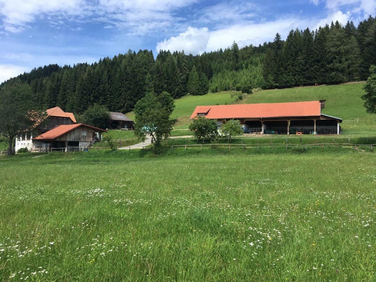 Urlaub Am Moarbauerhof Lejlighed Mühlen Eksteriør billede